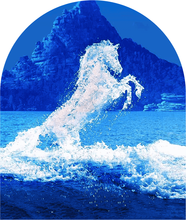 Photo of a water horse